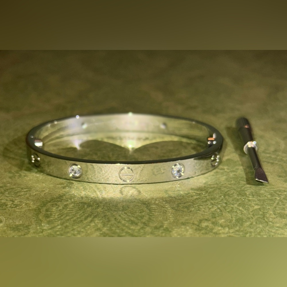 Bracelet with screwdriver